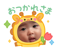 795513498
