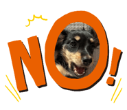 795513698