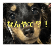 795513709