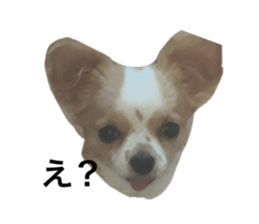 795514937