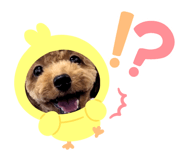 795517038