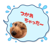 795517061
