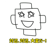 795517246