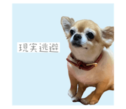 795519195