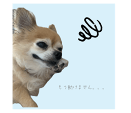 795519198