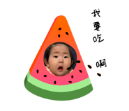 795540116