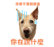 795541268