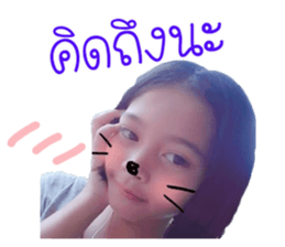 79554369