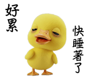 795549507