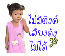 79555304