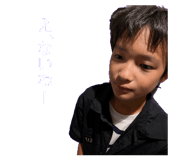 795554457