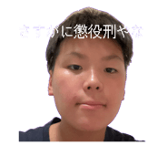795554462