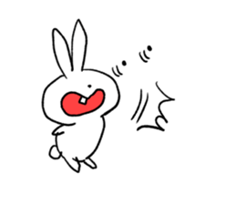 7955564