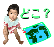 795558839