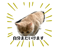 795559305