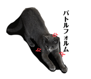 795559308