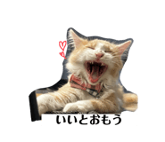 795559309