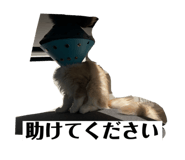 795559310