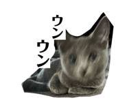 795559312