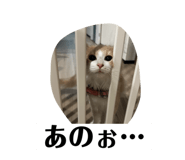 795559313