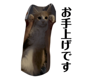795559314
