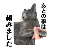 795559315