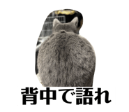 795559316