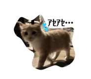 795559318