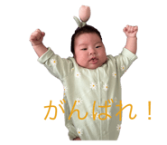 795560085
