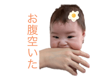 795560092