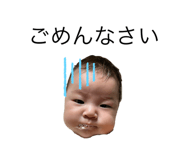 795560094