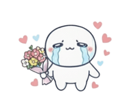 795566903
