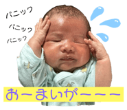 795587049
