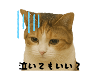 795588572