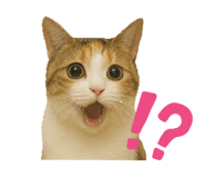 795588573