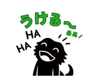 795589117