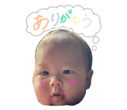 795594644