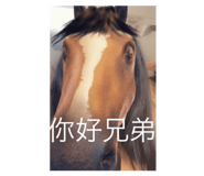 795598947
