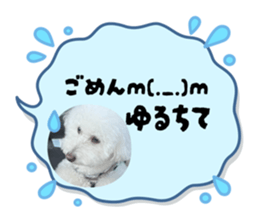 795607472
