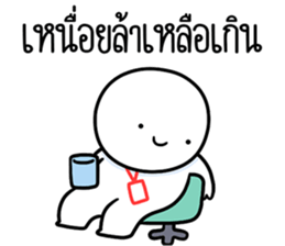 ลายที่ 11