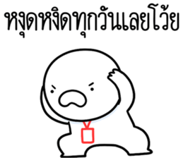 ลายที่ 13