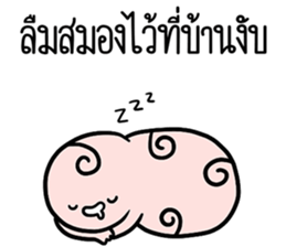 ลายที่ 31