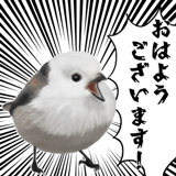 795624017