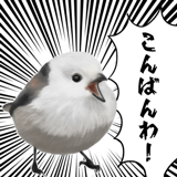 795624019