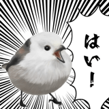 795624020