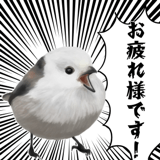 795624023