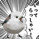 795624024