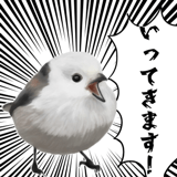 795624025