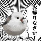 795624026