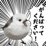 795624030